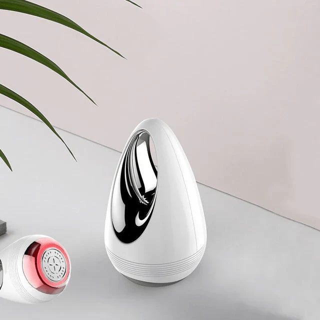 Facial Beauty Instrument